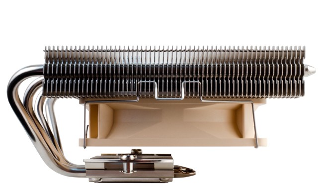 noctua_nh_12_3.jpg