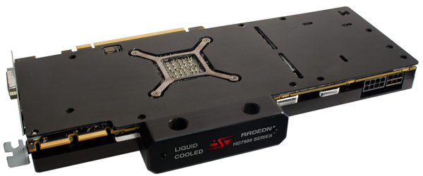 KOMODO-HD79702.jpg