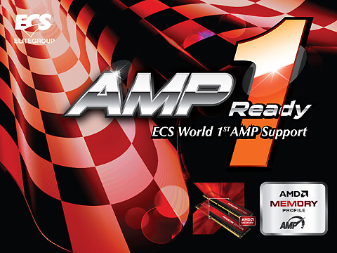 AMP_480.jpg