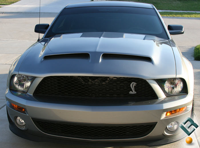 mustang1.jpg