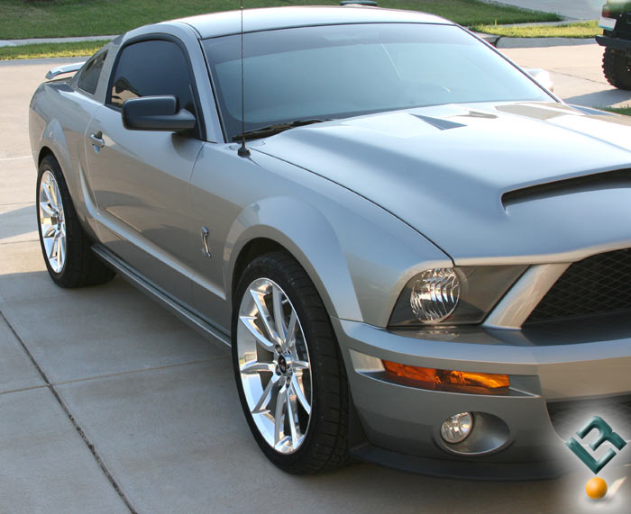 mustang3.jpg