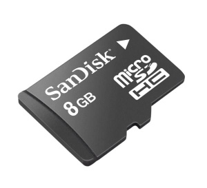 Sandisk 8gig.jpg
