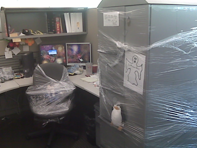 Plastic wrapped as much as we could.
