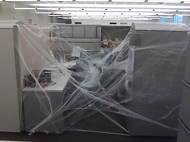 Halloween webbing.