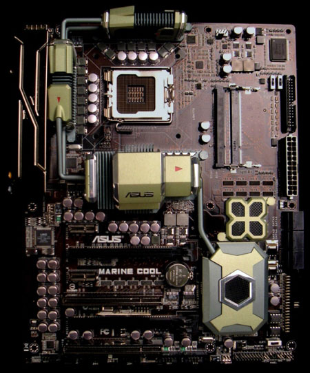 asus_marine_cool_motherboard.jpg