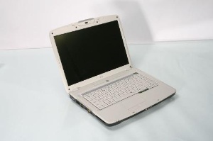 acer.jpg
