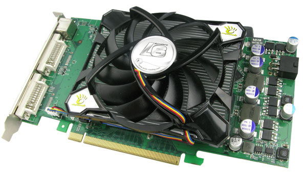 ACCELEROL6_MANLI_00.jpg