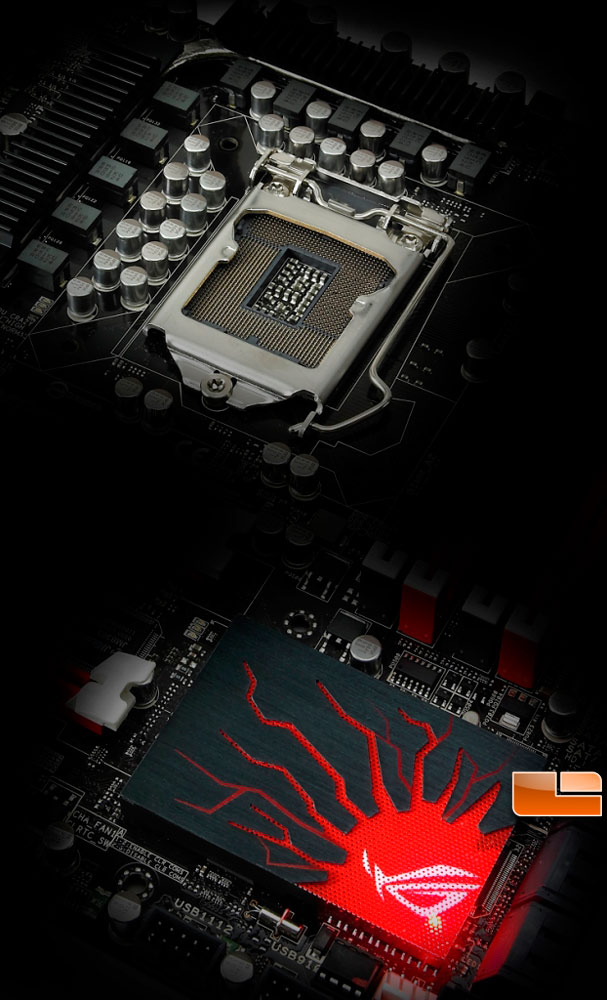 Maximus-III-Gene-HSF.jpg
