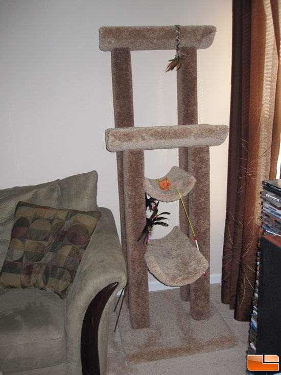 cat_tree.jpg