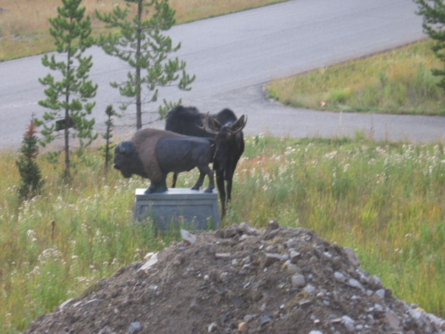 image001.jpg