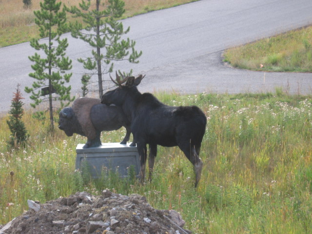 image002.jpg