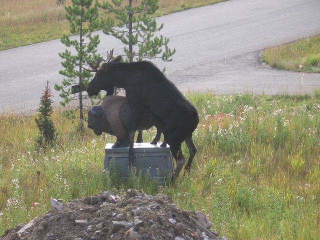 image003.jpg