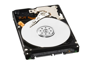wd_av25.jpg