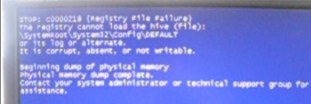 lil_help.JPG