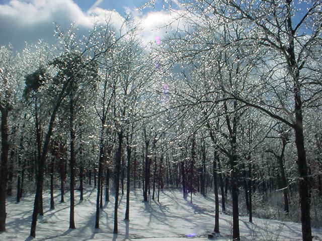 DSC00109.JPG