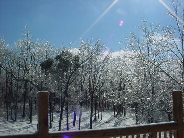 DSC00114.JPG
