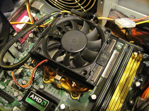 new_cooler.jpg