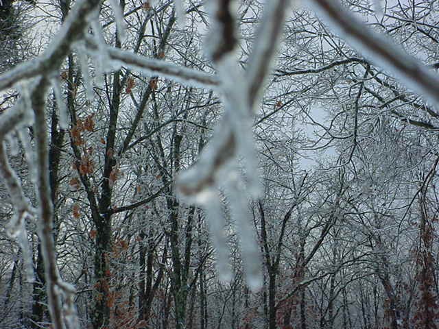 DSC00104.JPG