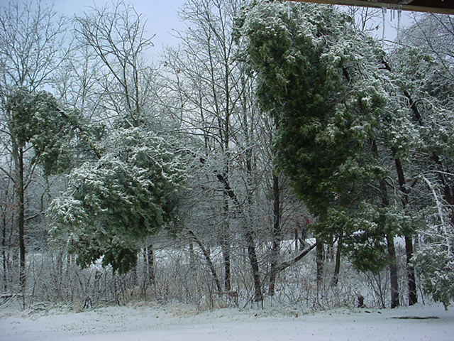 DSC00108.JPG