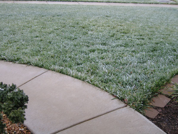 ice2.jpg