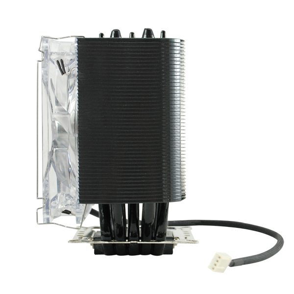 M020-00-000234_LG_6.jpg
