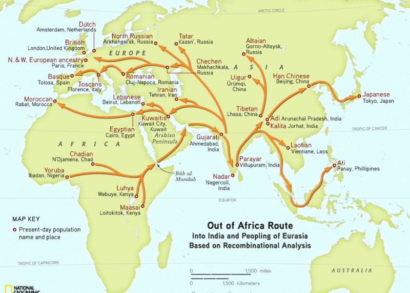 Geno-Project-Human-Migration-Map.jpg